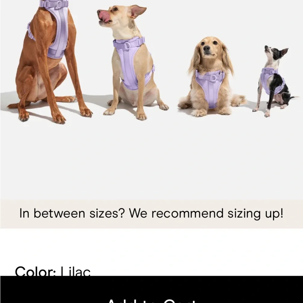 Wildone Lux Dog Harness With Matching Leash Set - Soft Pink, Size Medium